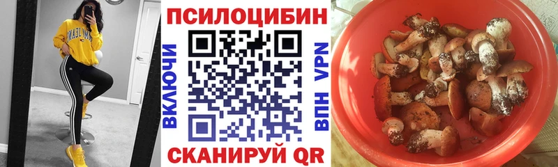 дарнет шоп  Новосокольники  Псилоцибиновые грибы прущие грибы 